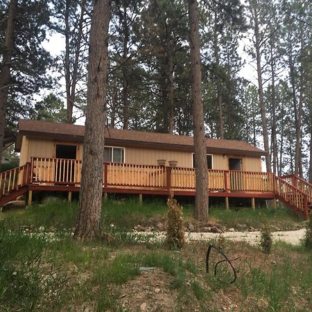New Cabin 1 Car Rental Available Custer Exterior foto